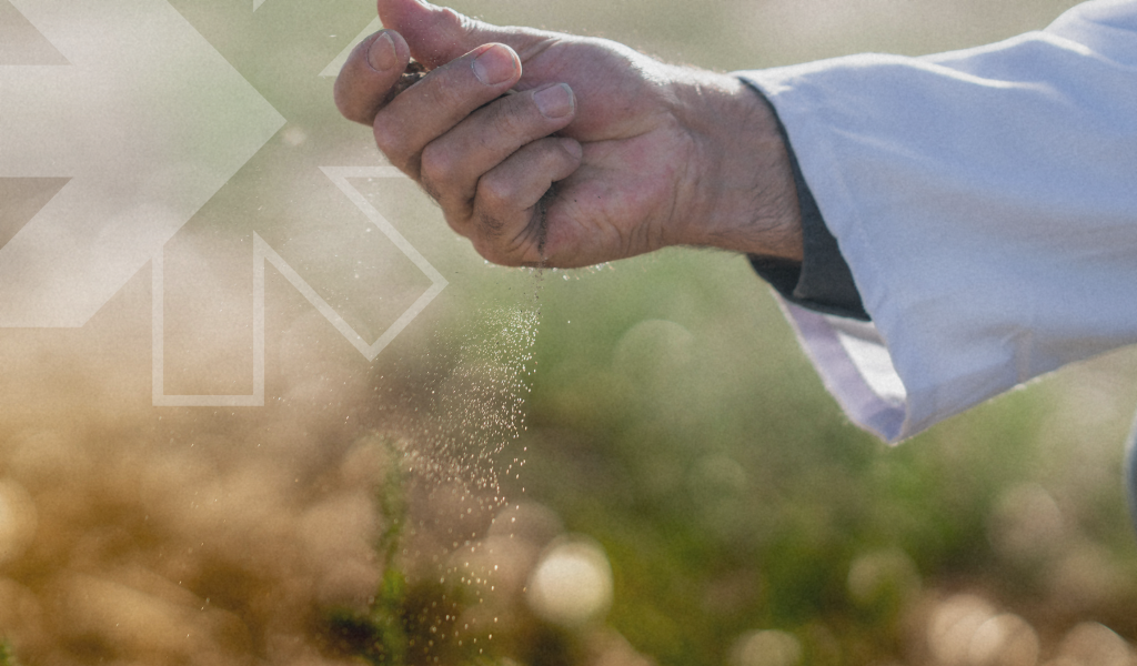 Soil-Salinity-Blog-1-r2pnlq5mrrlp15gc14cwkxth550tuavkg6c1r7vd68